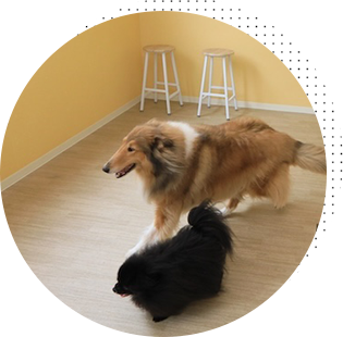 快適＆清潔な環境で安心