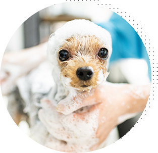 高濃度炭酸泉で、肌の血流を活性化