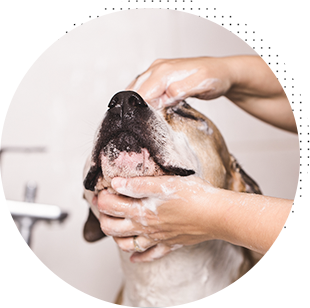 全メニューに保湿が含まれていて肌に優しい