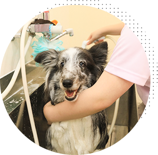 高濃度炭酸泉で、肌の血流を活性化して肌に優しい